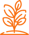 plant plant